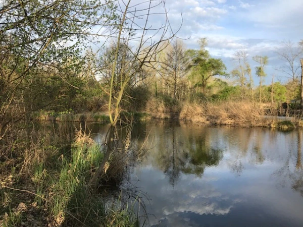 etang pour pages jaunes